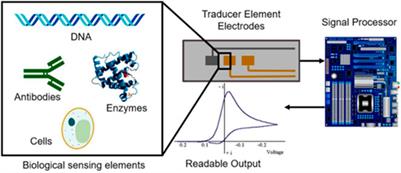 Metal and Metal Oxide Based Advanced Ceramics for Electrochemical Biosensors-A Short Review